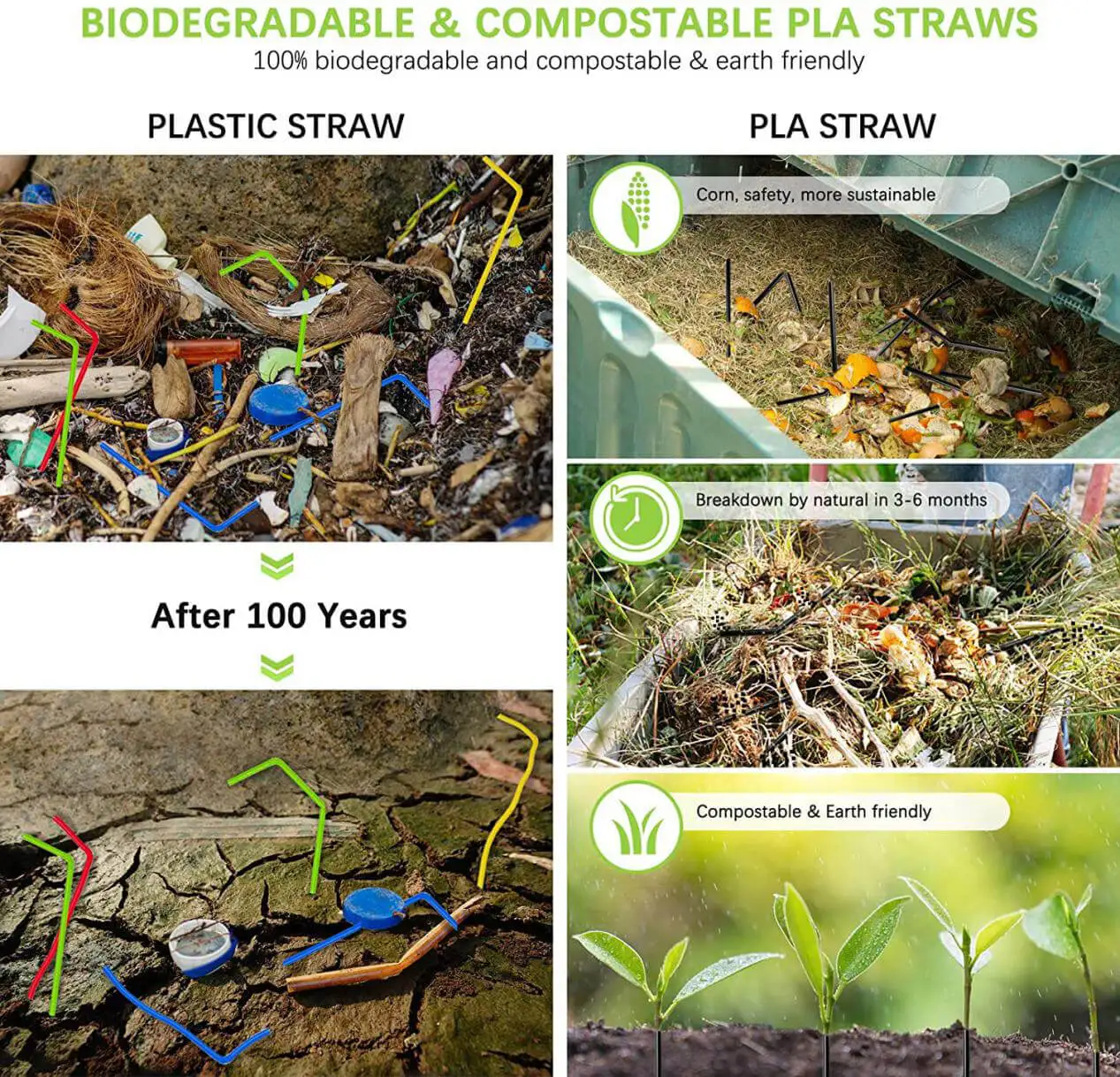 Cannucce compostabili per imballaggio in carta di mais Pla biodegradabile
